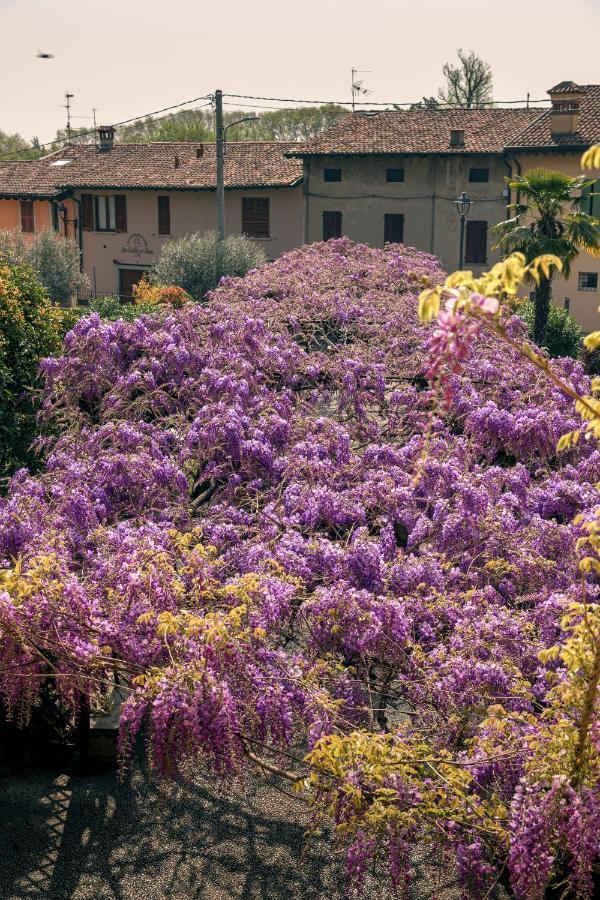 Cazzago San Martino Il Glicine B&B Ristorante المظهر الخارجي الصورة