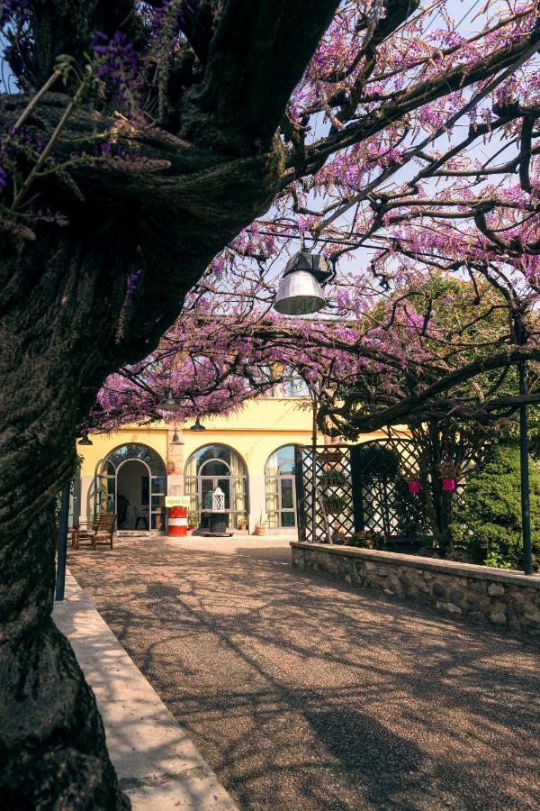 Cazzago San Martino Il Glicine B&B Ristorante المظهر الخارجي الصورة